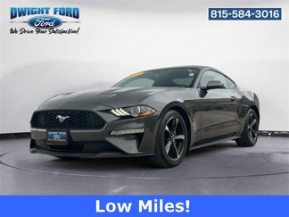 Used 2019 Ford Mustang Coupe image 1