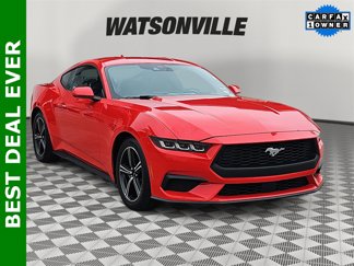 Used 2024 Ford Mustang Coupe image 1
