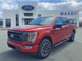 Used 2023 Ford F150 XLT w/ Equipment Group 302A High image 1