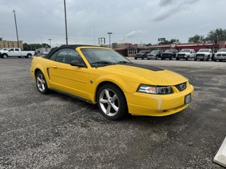Used 2004 Ford Mustang Convertible image 1