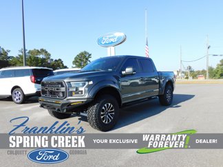 Used 2017 Ford F150 Raptor w/ Equipment Group 802A Luxury image 1