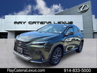 Certified 2023 Lexus NX 350h AWD w/ Premium Package image 1