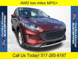 Certified 2021 Ford Escape SE image 1