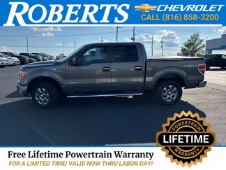 Used 2014 Ford F150 XLT w/ Equipment Group 302A Luxury image 1