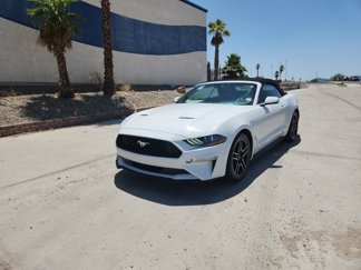 Certified 2019 Ford Mustang Premium image 1