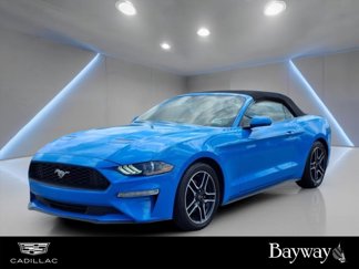 Used 2022 Ford Mustang Premium image 1