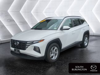 Used 2024 Hyundai Tucson SEL image 1