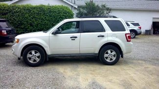 Used 2009 Ford Escape XLT image 1