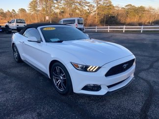 Used 2017 Ford Mustang Premium image 1