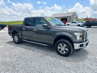 Used 2016 Ford F150 XLT w/ Equipment Group 301A Mid image 1