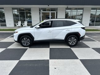 Used 2023 Hyundai Tucson Blue image 1