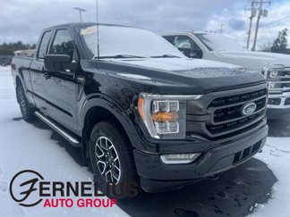 Used 2023 Ford F150 XLT w/ Equipment Group 302A High image 1