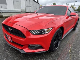 Used 2017 Ford Mustang Coupe w/ Ecoboost Performance Package image 1