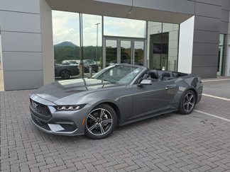 Used 2024 Ford Mustang Premium image 1