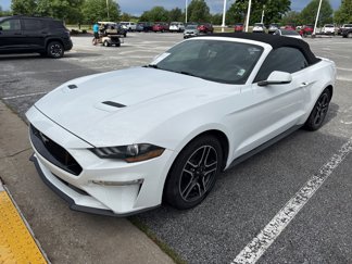 Used 2019 Ford Mustang Premium image 1