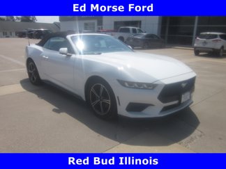 Used 2024 Ford Mustang Premium image 1