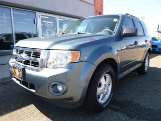 Used 2010 Ford Escape XLT image 1