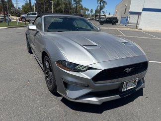 Used 2022 Ford Mustang Premium image 1