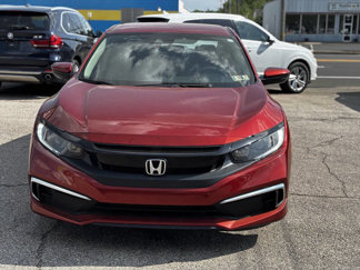 Used 2019 Honda Civic LX image 1