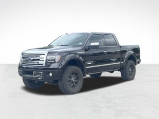 Used 2014 Ford F150 Platinum image 1