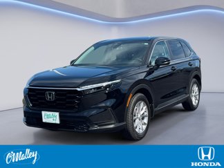 Certified 2024 Honda CR-V EX image 1