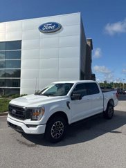 Certified 2023 Ford F150 XLT w/ Equipment Group 302A High image 1
