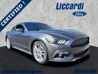 Certified 2016 Ford Mustang Premium w/ Equipment Group 201A image 1