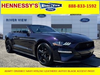 Used 2022 Ford Mustang Premium w/ Equipment Group 201A image 1