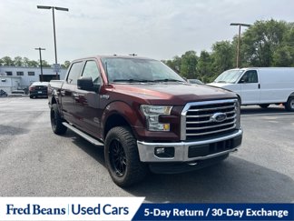 Used 2015 Ford F150 XLT w/ Equipment Group 302A Luxury image 1