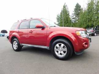 Used 2010 Ford Escape Limited image 1