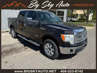 Used 2014 Ford F150 XLT w/ Equipment Group 302A Luxury image 1