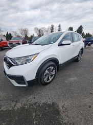 Used 2022 Honda CR-V Special Edition image 1