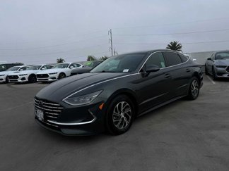 Used 2023 Hyundai Sonata Blue w/ Cargo Package image 1