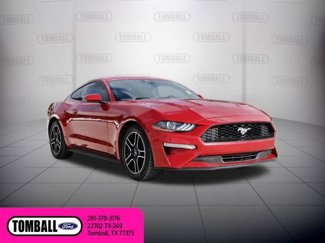 Used 2021 Ford Mustang Coupe w/ Equipment Group 101A image 1