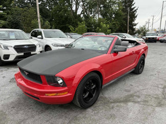 Used 2008 Ford Mustang Convertible image 1
