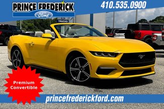 Used 2024 Ford Mustang Premium image 1