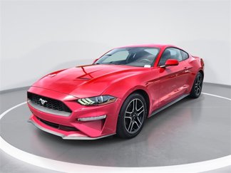 Used 2019 Ford Mustang Coupe w/ Equipment Group 101A image 1