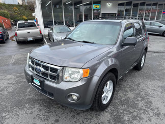 Used 2010 Ford Escape XLT image 1