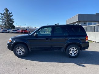 Used 2007 Ford Escape Limited image 1