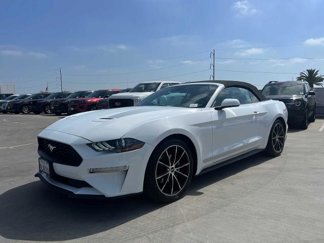 Certified 2022 Ford Mustang Premium w/ Wheel & Stripe Package image 1