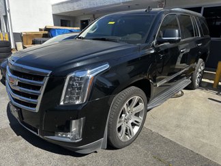 Used 2017 Cadillac Escalade Luxury image 1