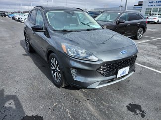 Used 2020 Ford Escape SE Sport image 1