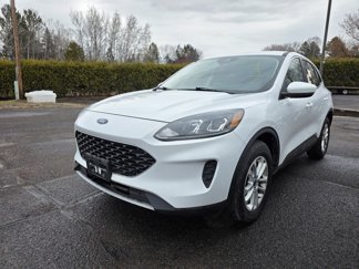 Used 2020 Ford Escape SE image 1