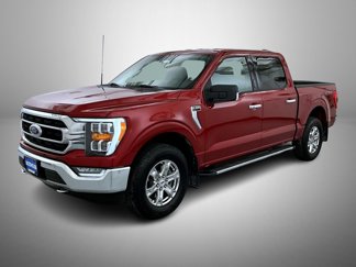 Used 2021 Ford F150 XLT w/ Equipment Group 302A High image 1