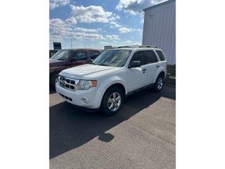 Used 2011 Ford Escape XLT w/ 202A Rapid Spec Order Code image 1