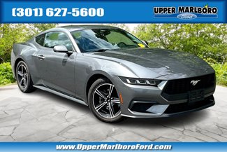 Used 2024 Ford Mustang Coupe image 1