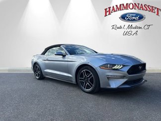 Certified 2022 Ford Mustang Premium image 1
