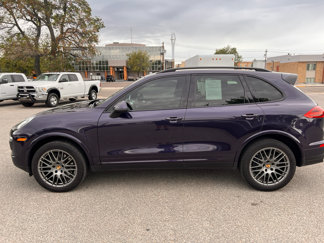 Used 2017 Porsche Cayenne Platinum Edition image 1