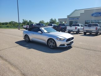 Used 2017 Ford Mustang Premium image 1