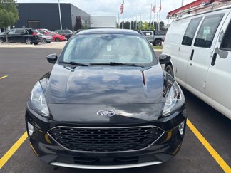 Used 2020 Ford Escape SEL image 1